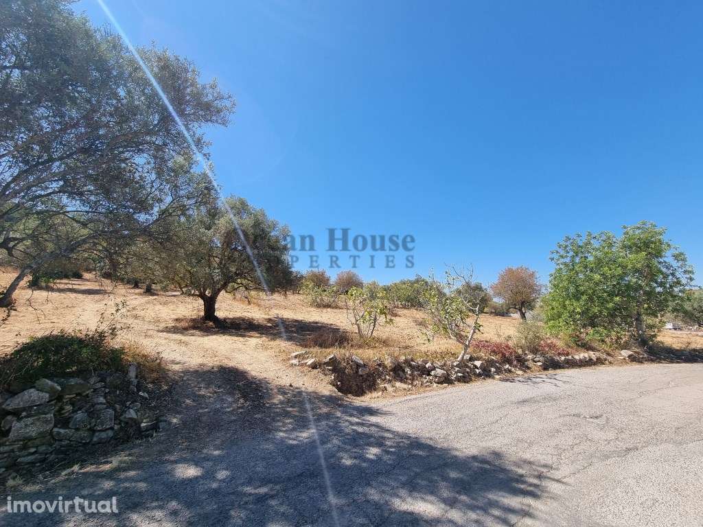 Terreno rústico com 14.400m2 em Santa Bárbara de Nexe - Faro - Grande imagem: 4/9
