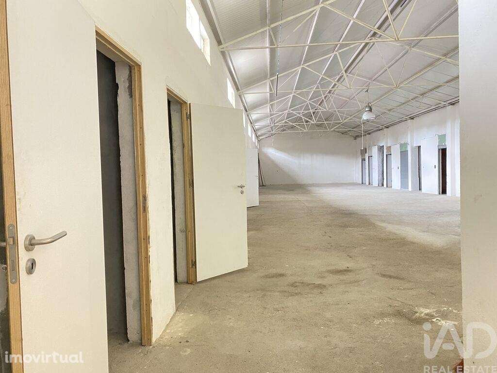 Armazém em Oliveira do Douro de 679,00 m2 - Grande imagem: 4/26