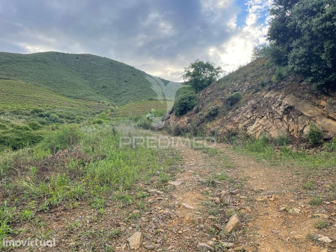 Quinta Agrícola com 2,3 Hectares em Murça | Vila Nova de Foz Côa - Grande imagem: 5/7