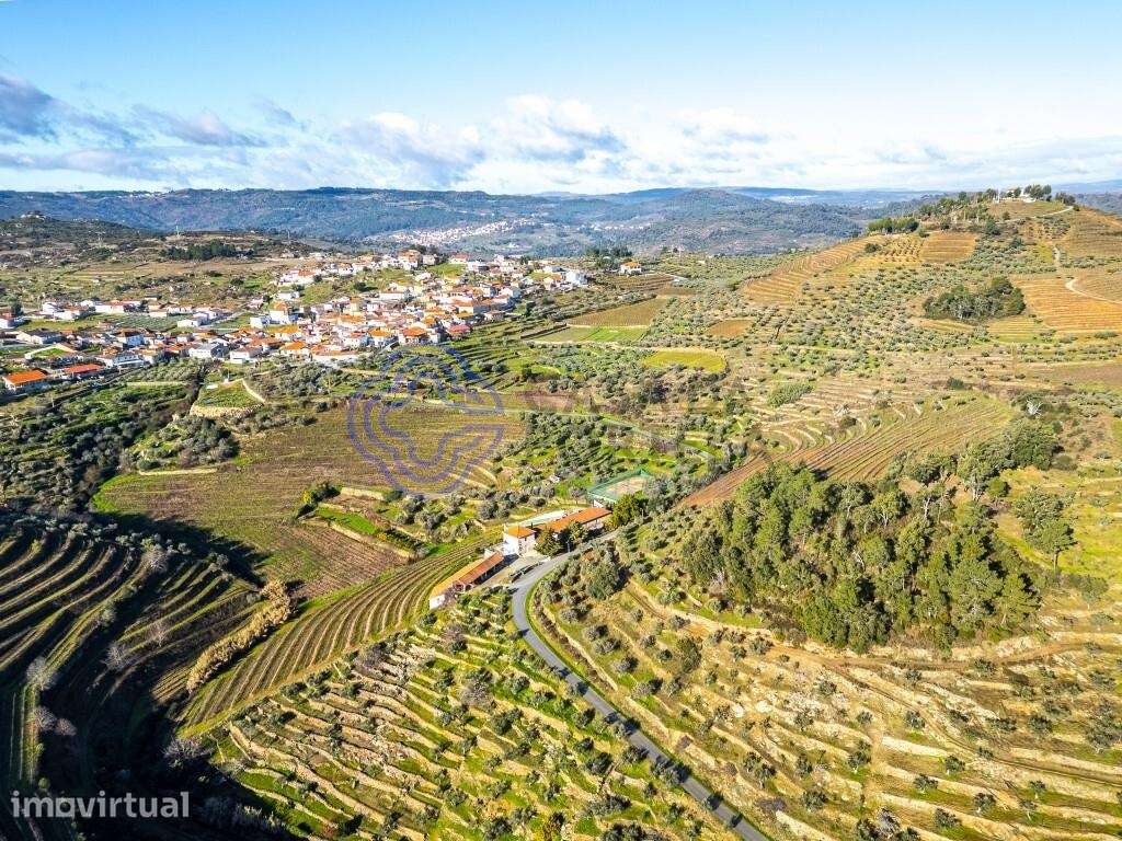 Quinta  de Turismo Rural com 20 hectares - Grande imagem: 3/60
