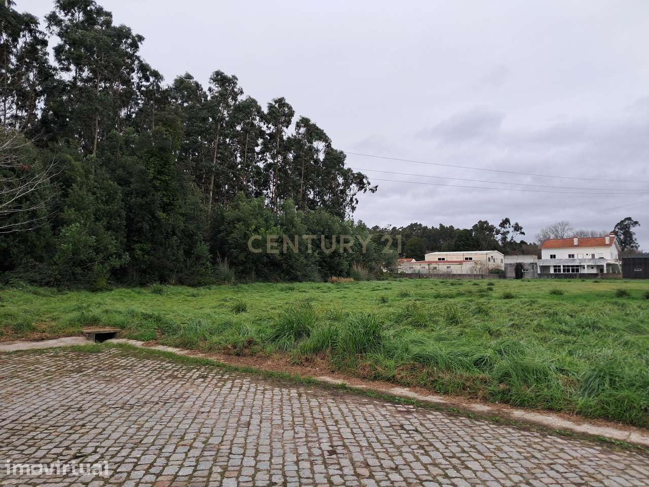 TERRENO EM CORTEGAÇA - Grande imagem: 4/7