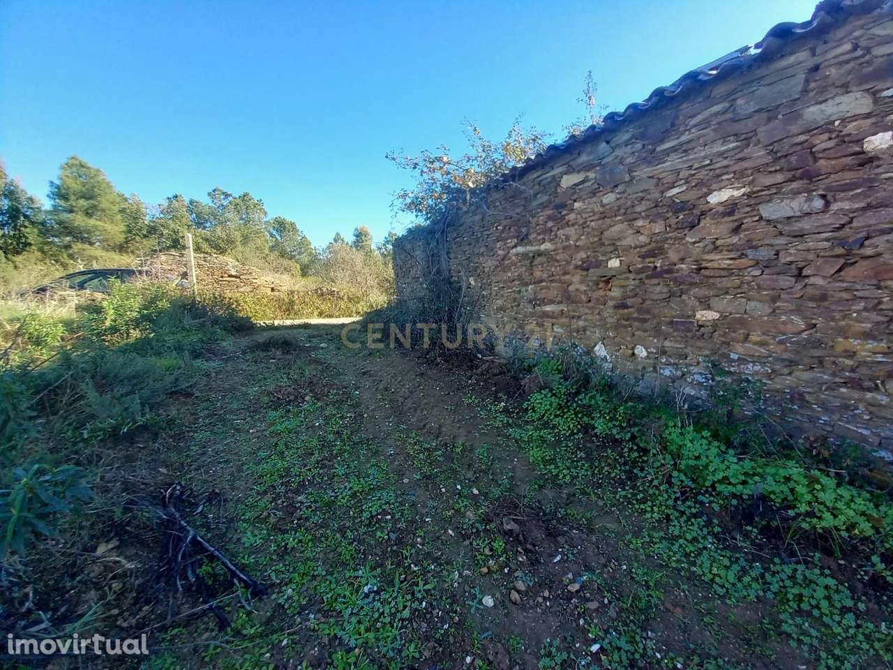 Quintinha com 15.540m2 Sarnadas de Ródão - Grande imagem: 2/19