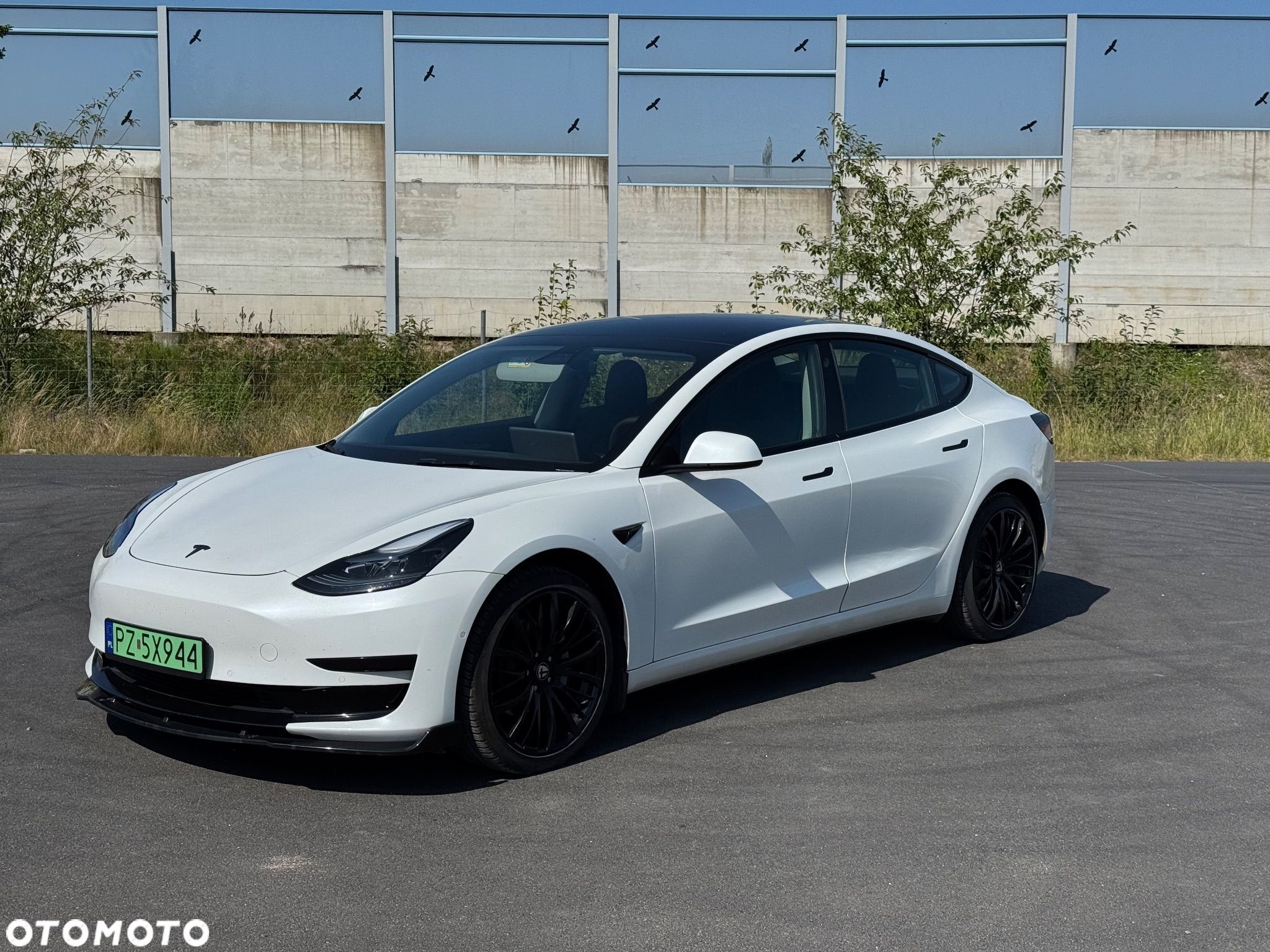 Tesla Model 3 Standard Range Plus - 1
