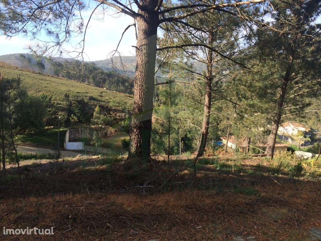 Lote de Terreno para Construção - Grande imagem: 3/10