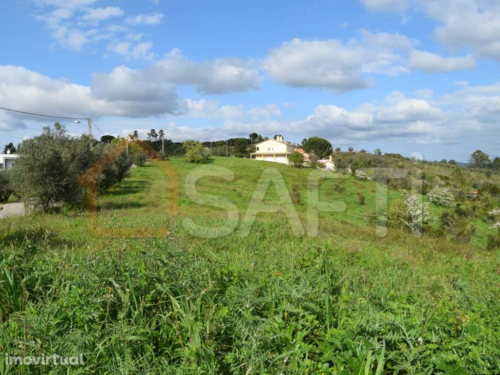 Terreno Rústico construível, com 2510m2, em Portela do Gato, Coimbra - Grande imagem: 5/21