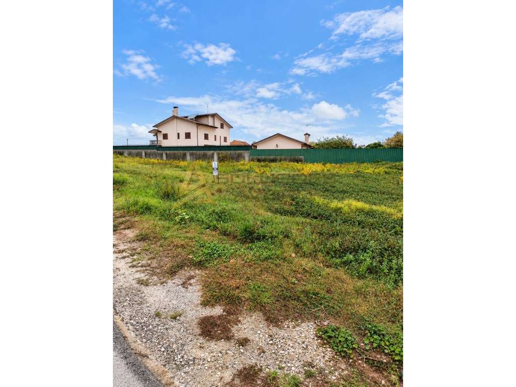TERRENO URBANIZÁVEL COM 1.240 m² NA TROFA - ÁGUEDA - Grande imagem: 5/5