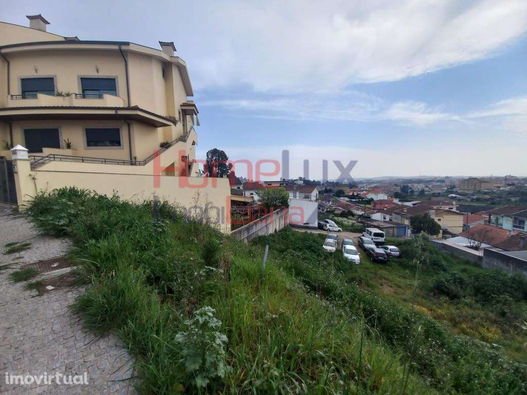 Lote Baguim - Grande imagem: 4/4