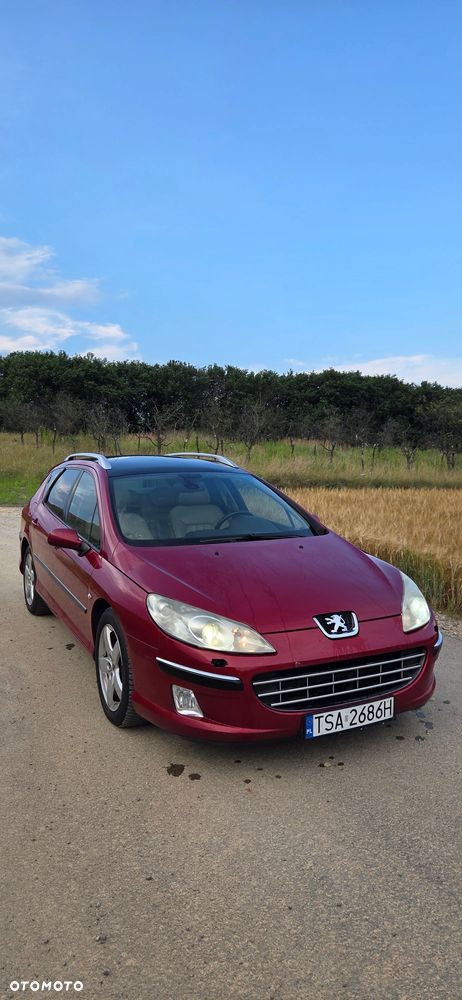 Peugeot 407 - 7