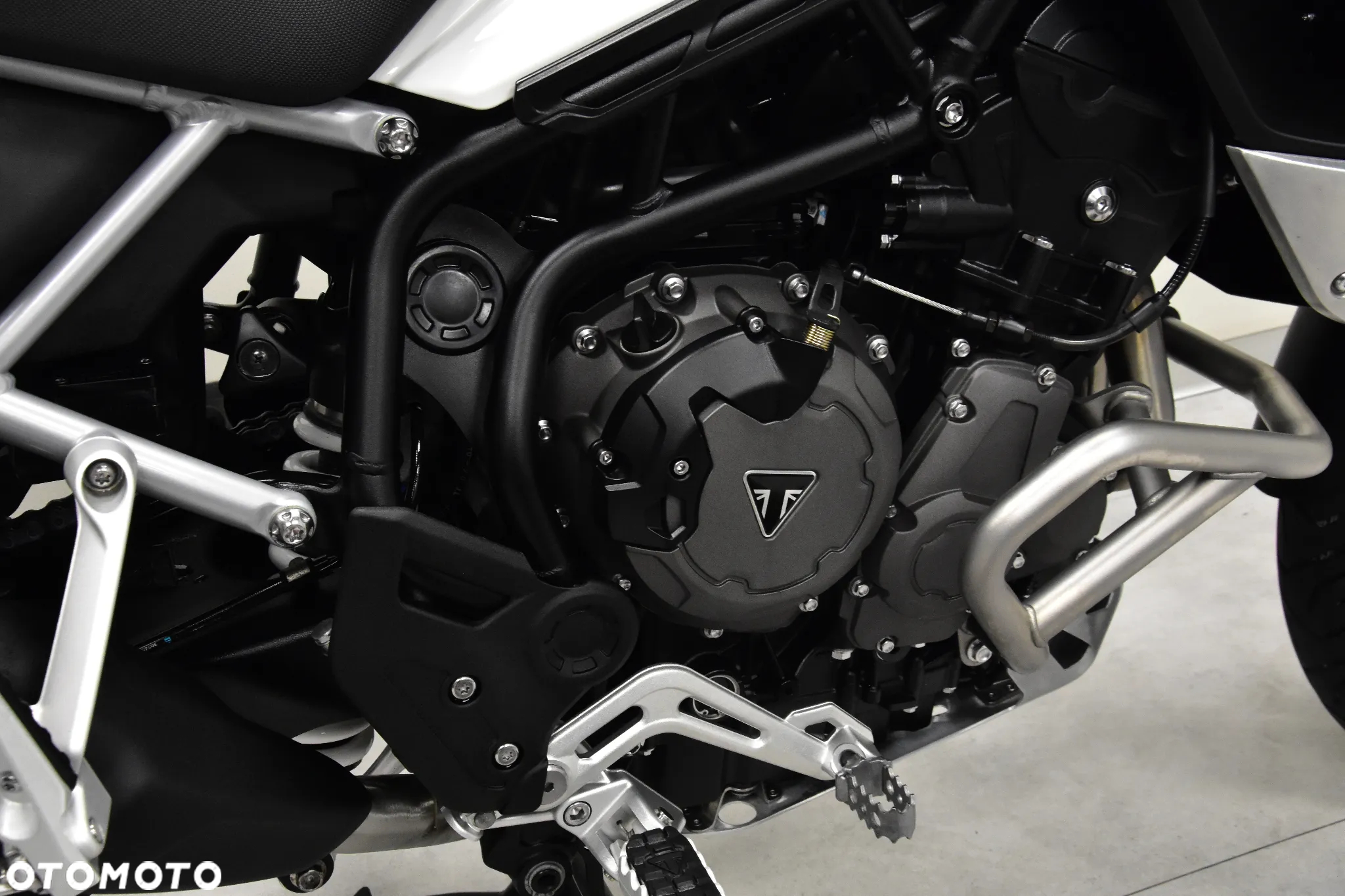 Triumph Tiger - 30