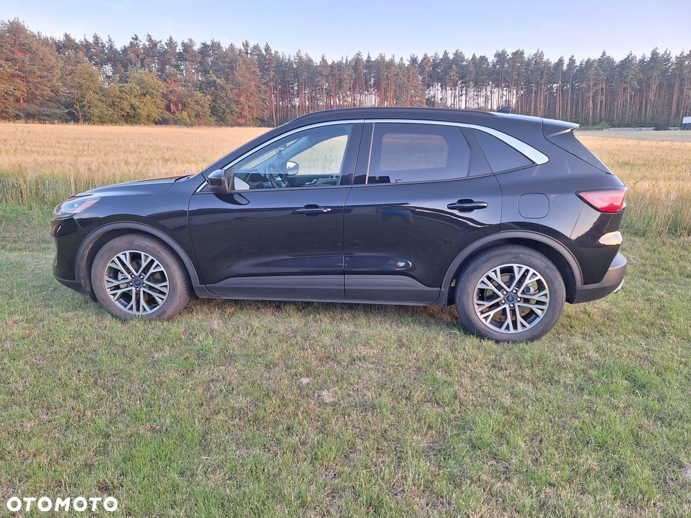 Ford Escape - 7