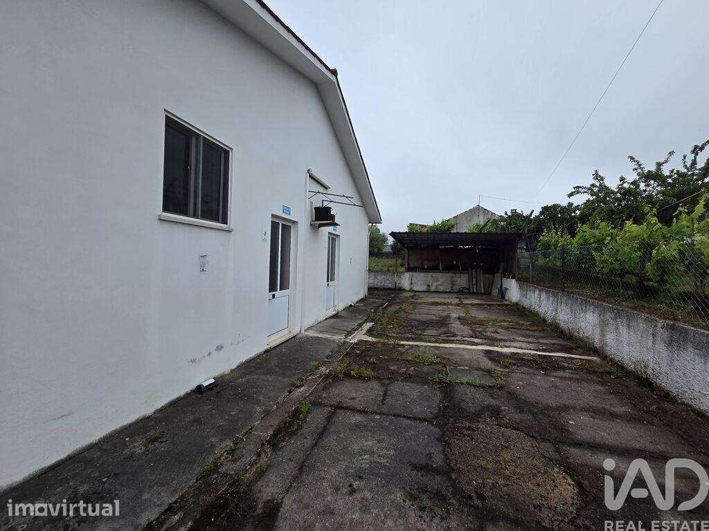 Ateliê em Pinheiro de Ázere de 400 m2 - Grande imagem: 5/22
