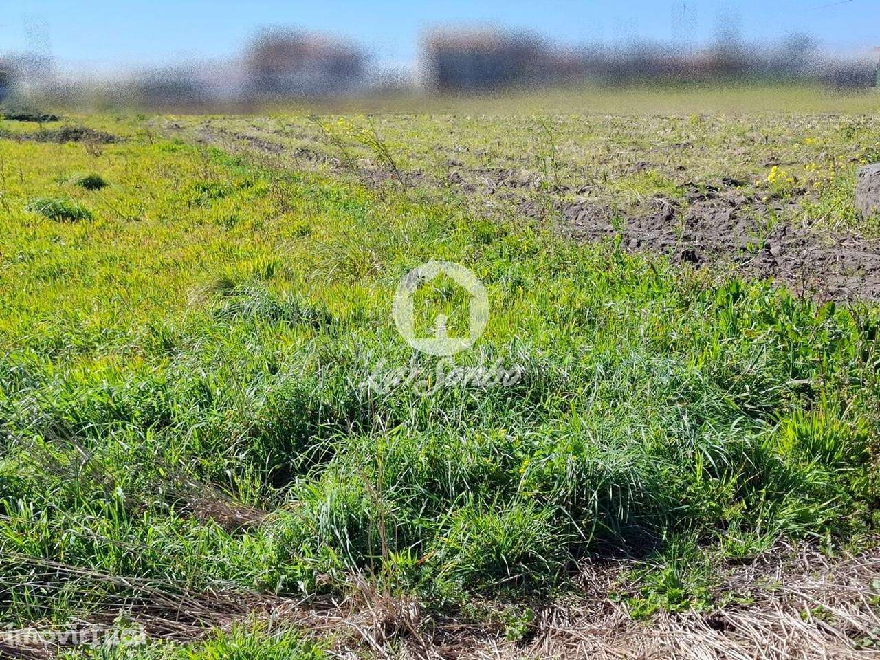 Terreno com 950m² em Aguçadoura - Grande imagem: 3/13