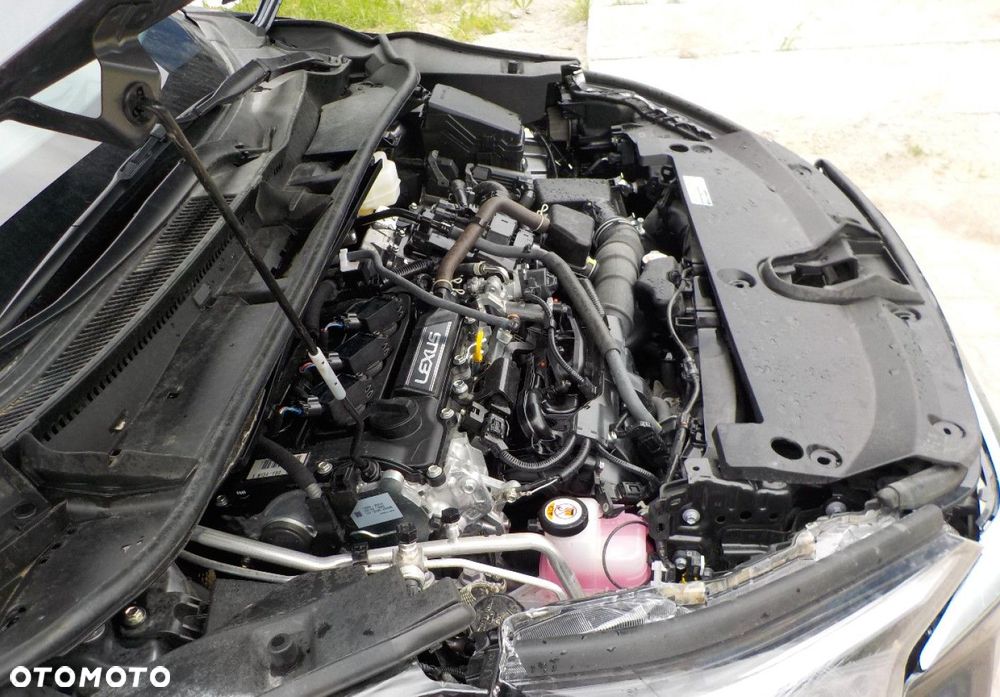 Lexus LBX - 5