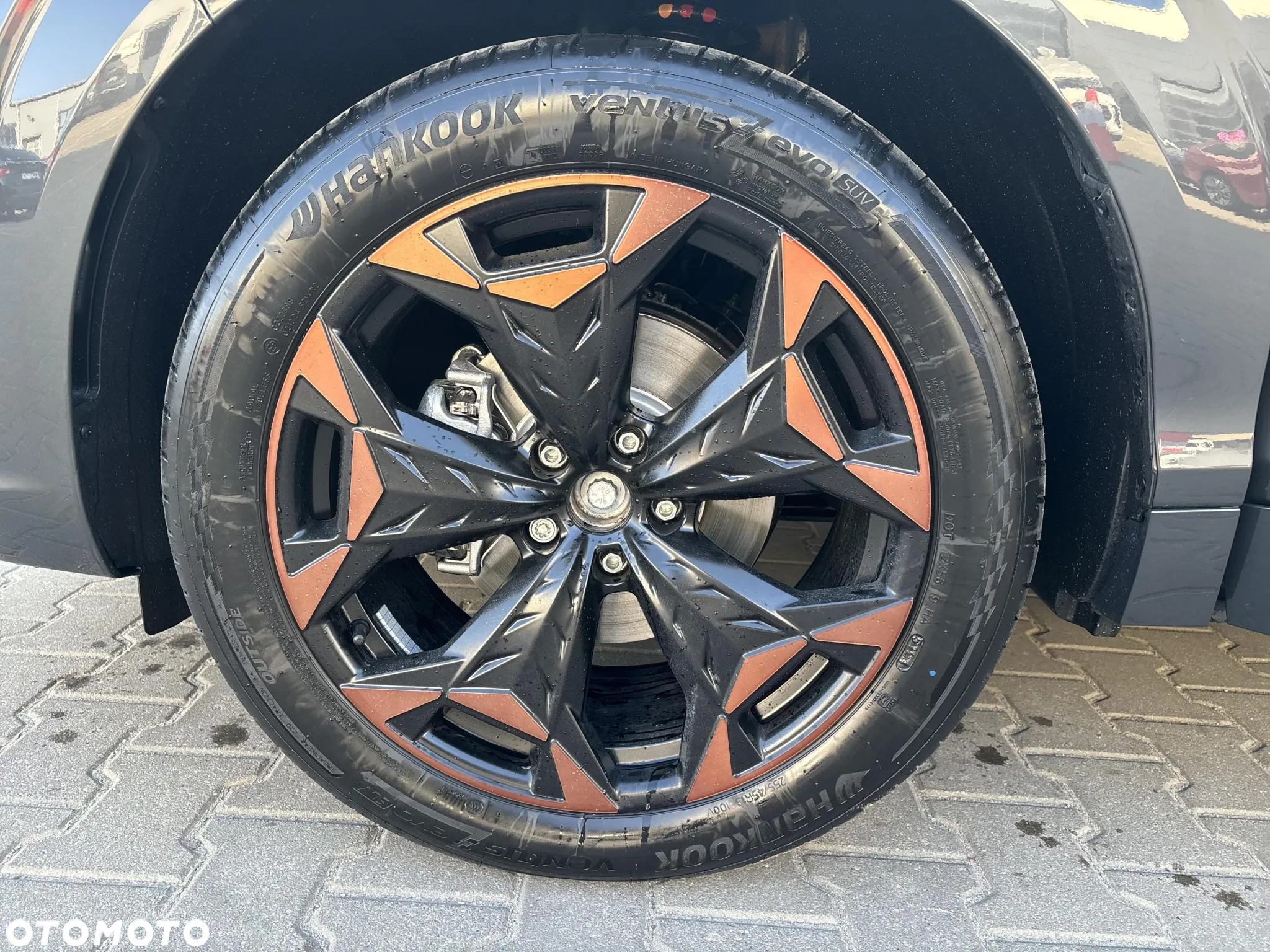 Cupra Terramar - 17