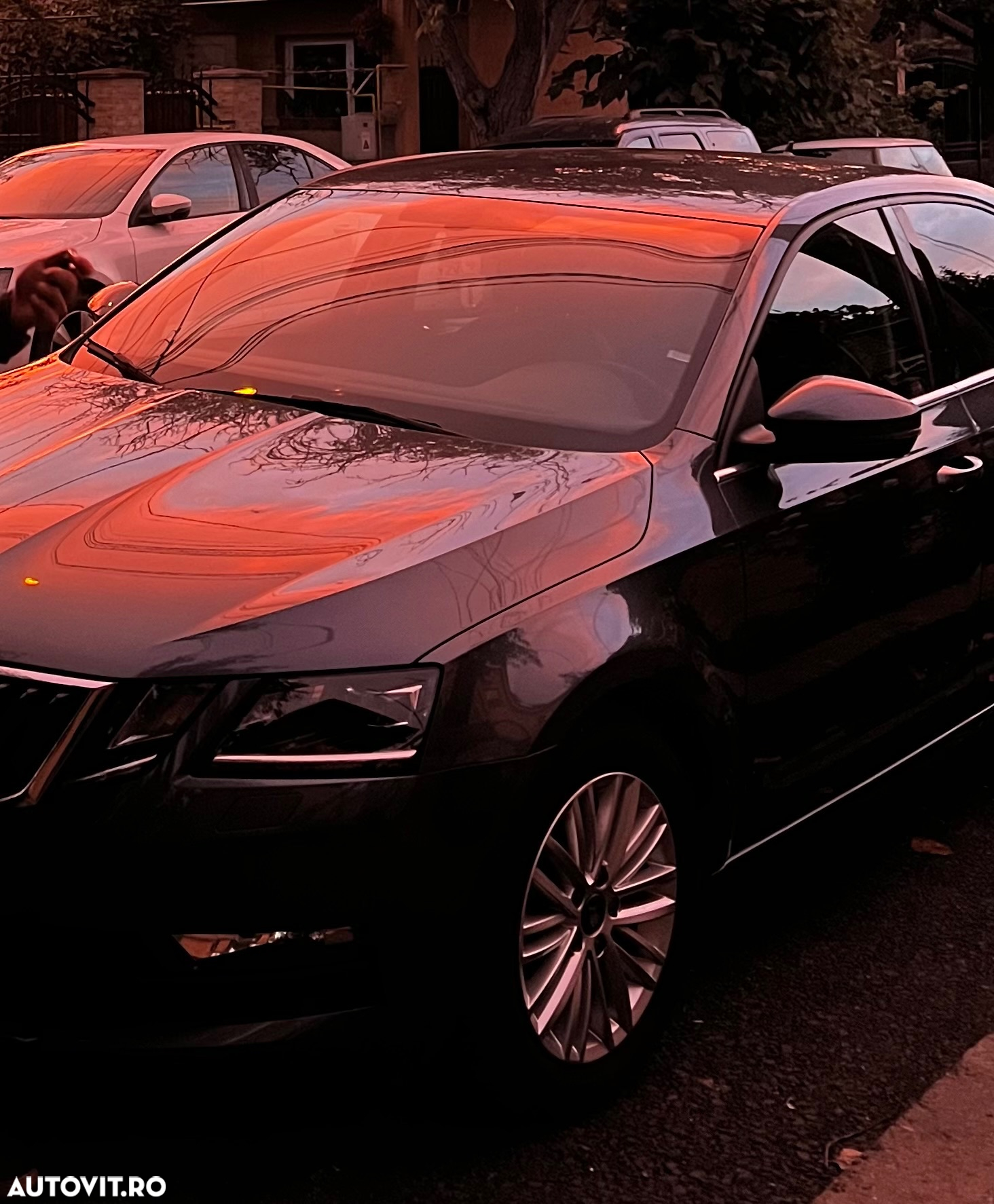 Skoda Octavia - 27