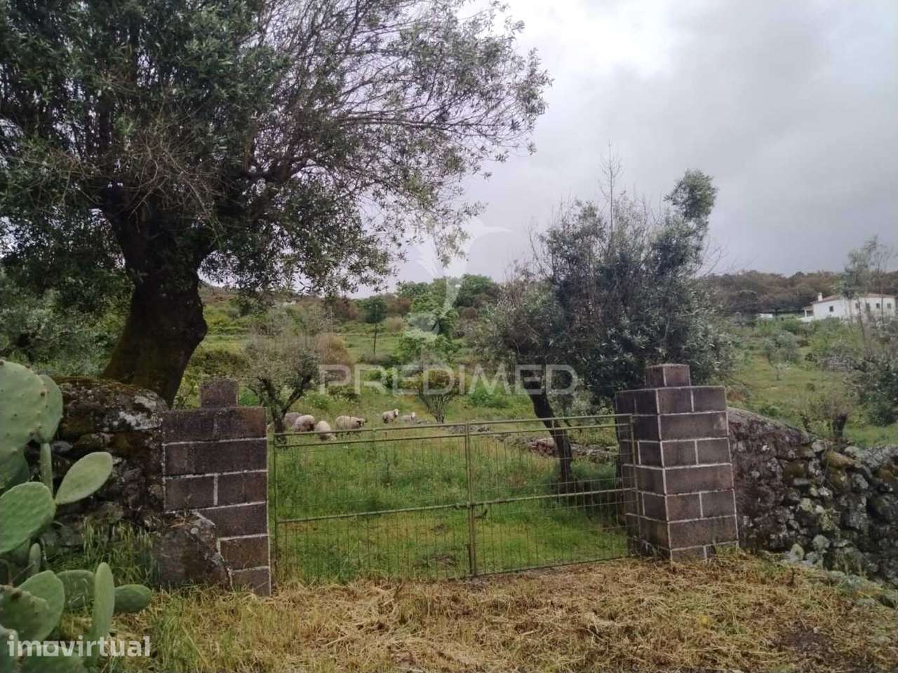 Terreno com Vista Deslumbrante nas Carreiras – Portalegre - Grande imagem: 2/3