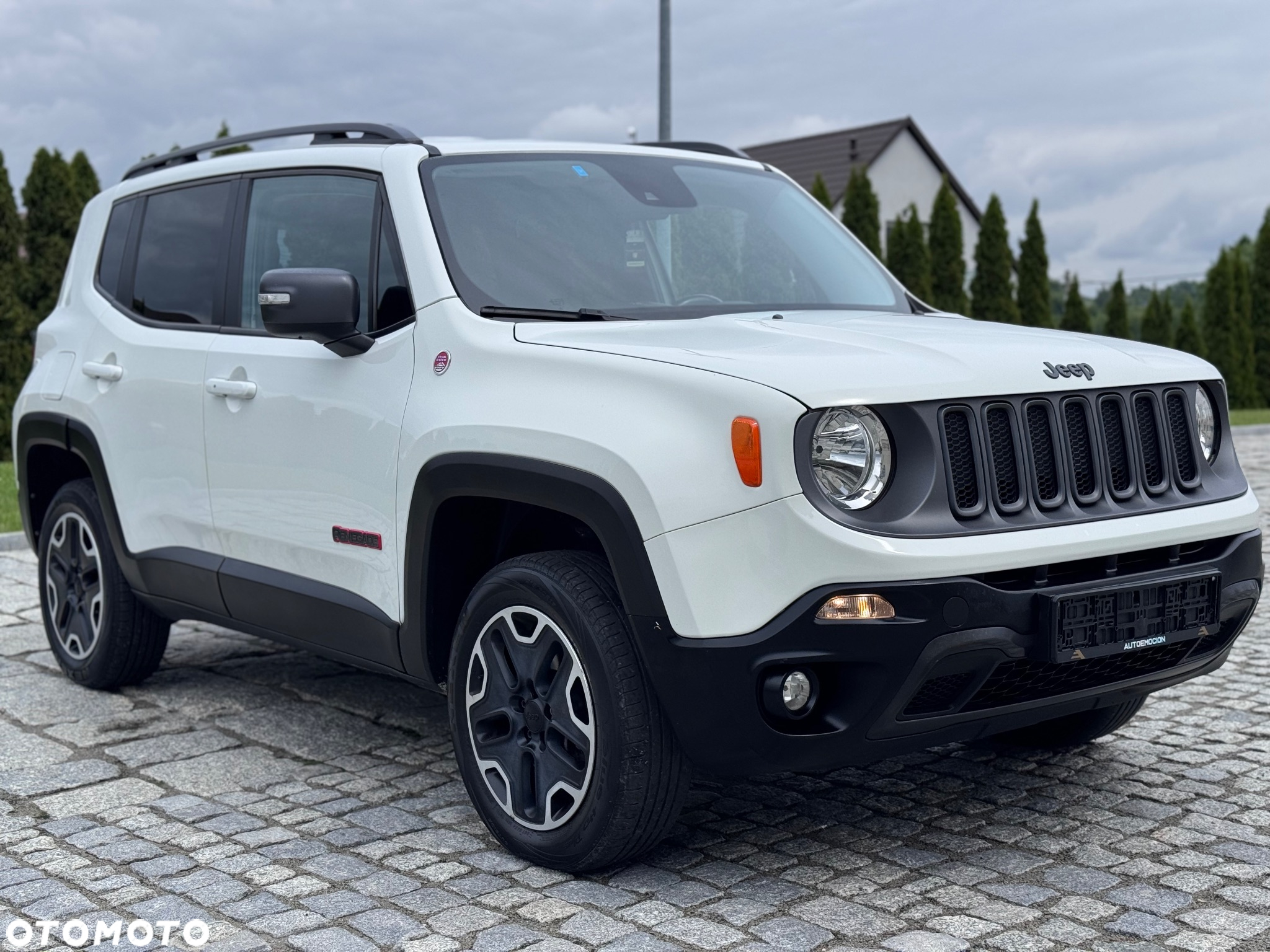 Jeep Renegade 2.0 MultiJet Trailhawk 4WD S&S - 2