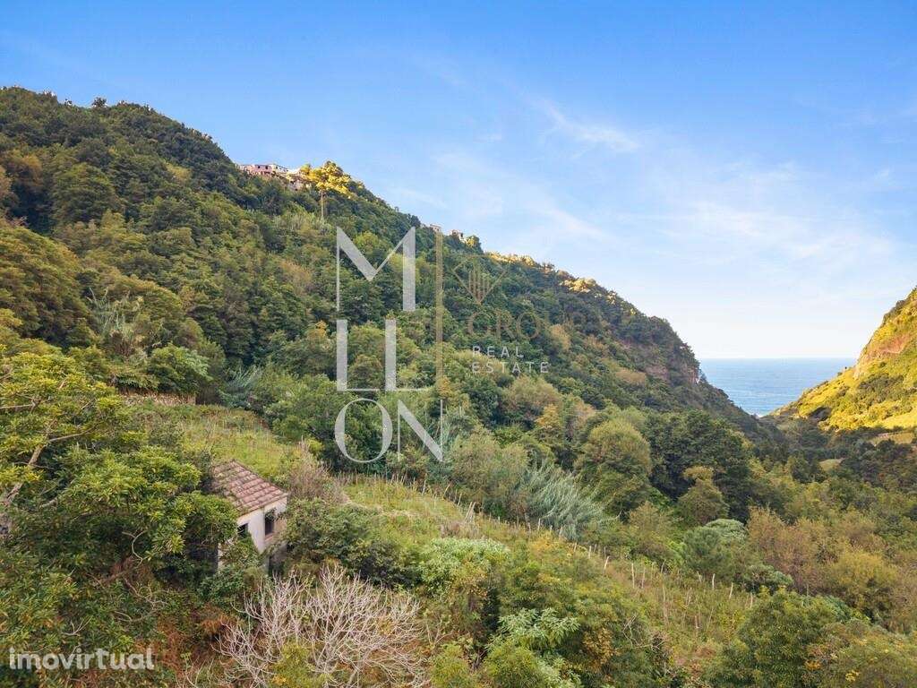 Oportunidade Única na Zona Norte da Ilha – Boaventura - Grande imagem: 3/20