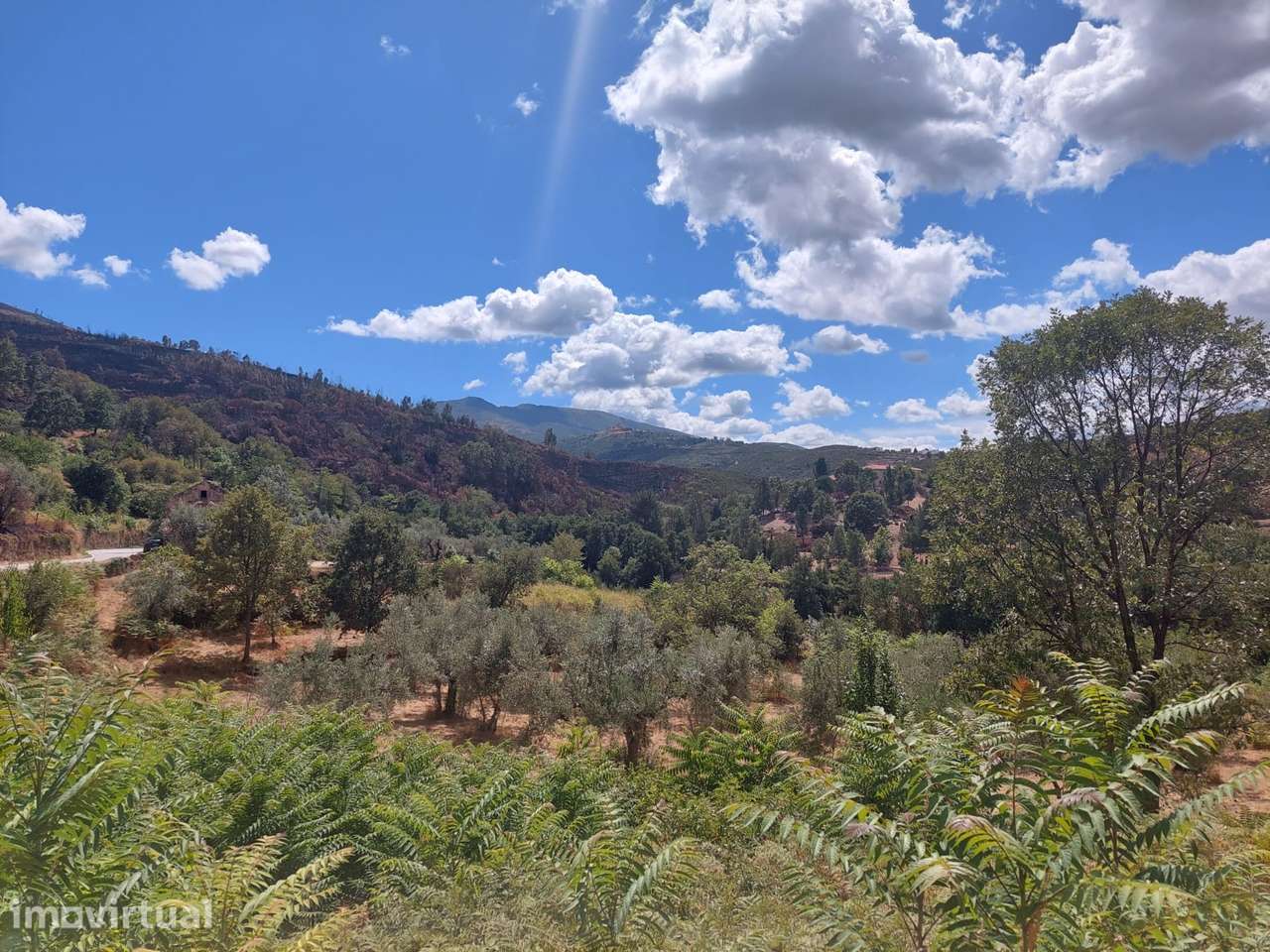 Quintinha  Venda em Figueiró da Serra e Freixo da Serra,Gouveia - Grande imagem: 3/5