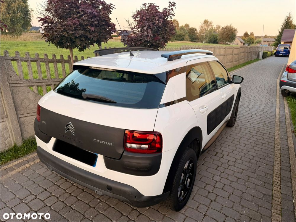 Citroën C4 Cactus PureTech 82 Business Class - 7