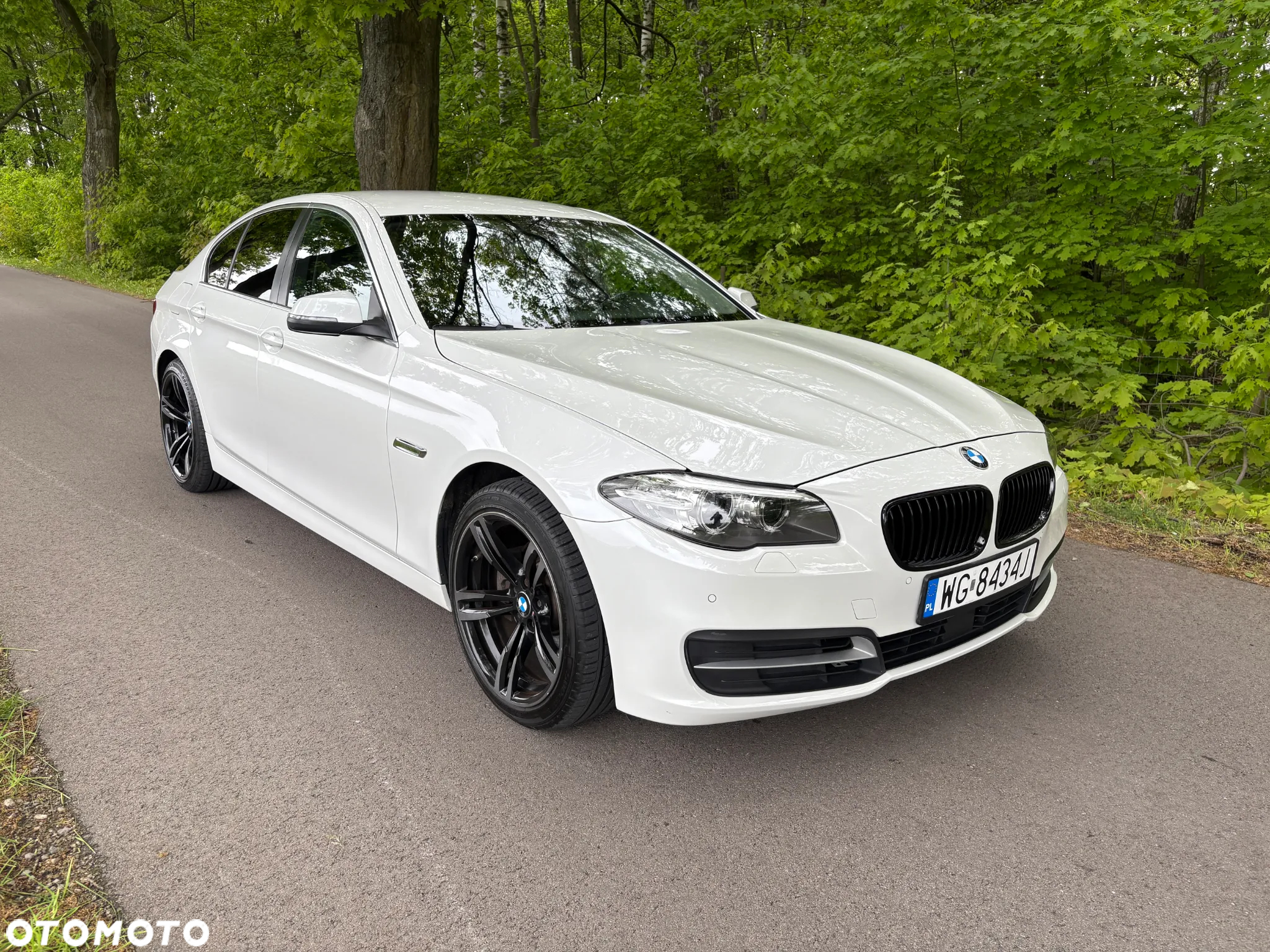 BMW Seria 5 520d - 35