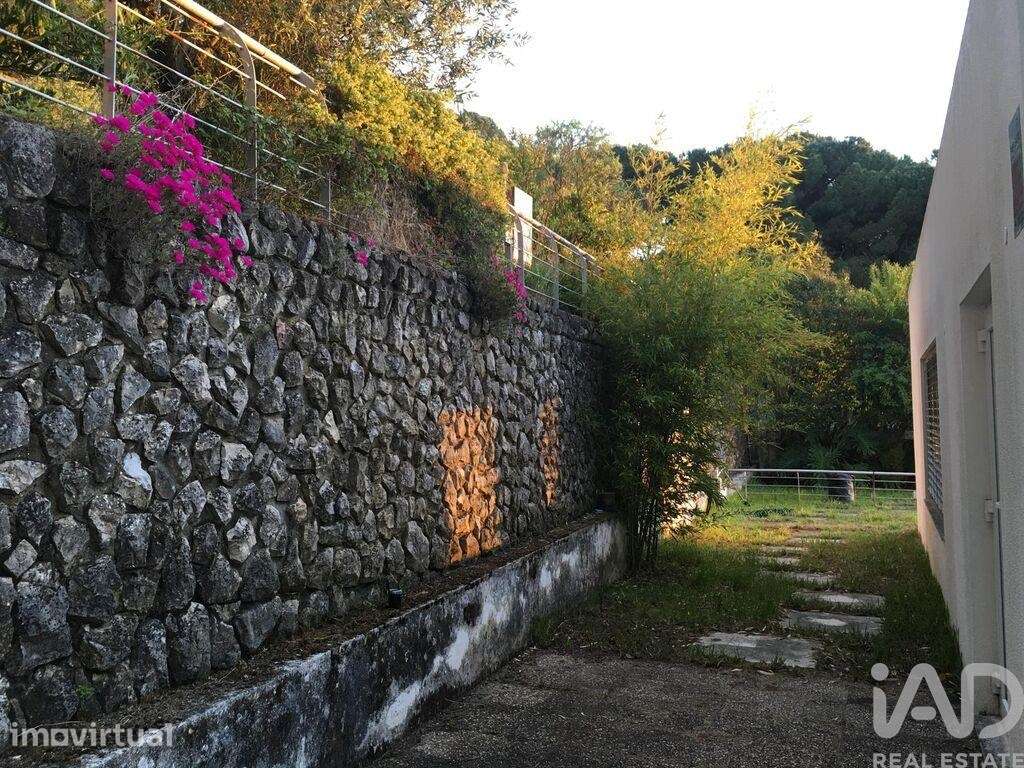 Casa / Villa T7 em Quinta do Anjo de 130 m2 - Grande imagem: 5/32