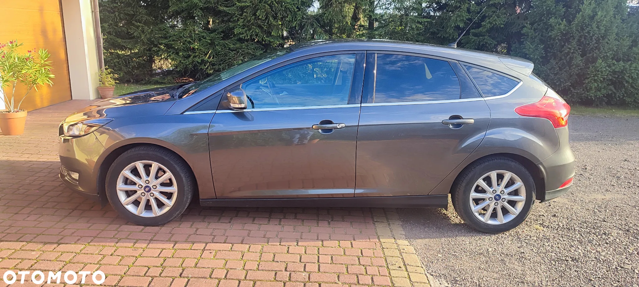 Ford Focus 1.5 EcoBoost Titanium ASS - 6