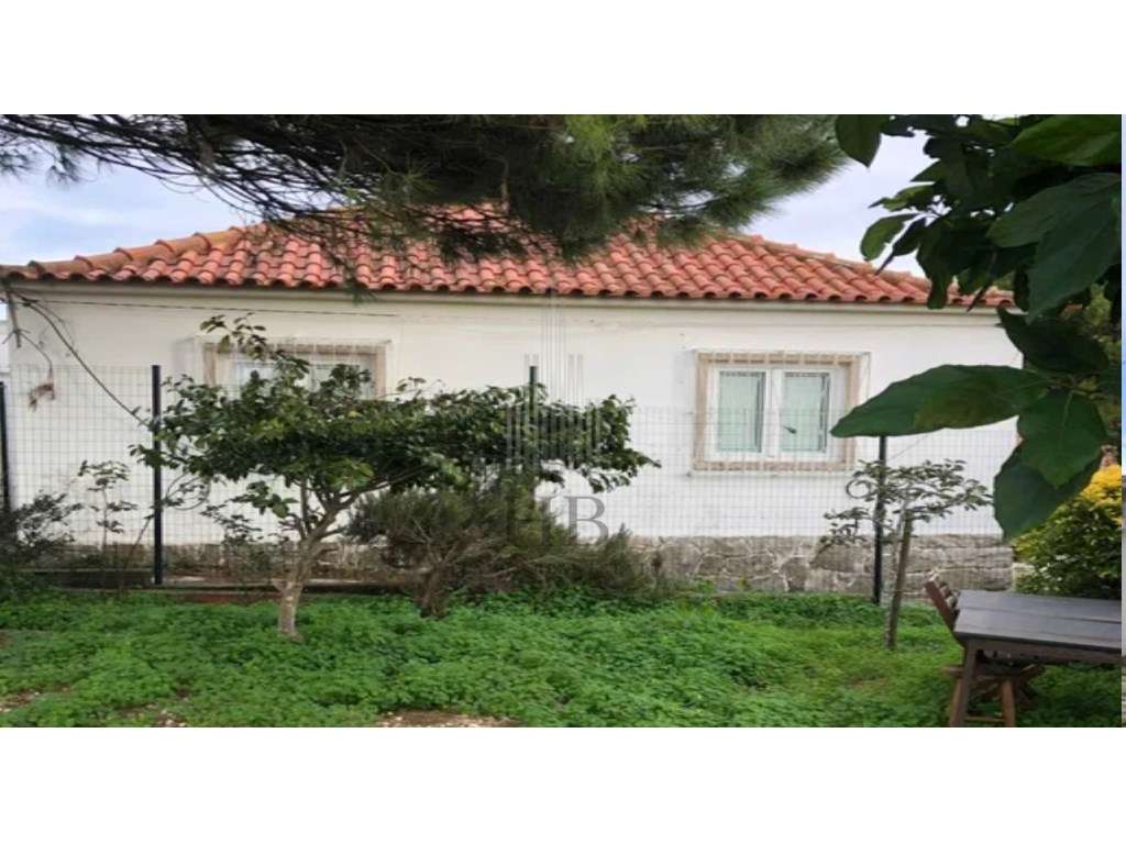 Oportunidade de Investimento | Moradia T3 + Anexo T1 | Albarraque - Grande imagem: 3/4