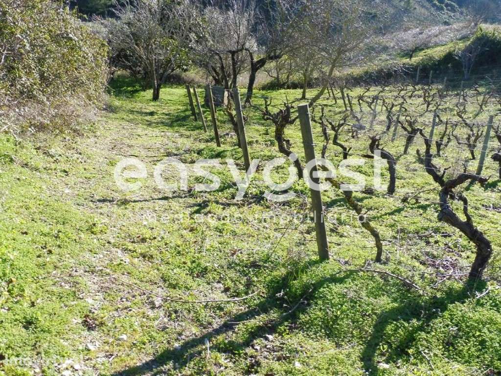 Terreno na Calhandriz - Grande imagem: 2/7