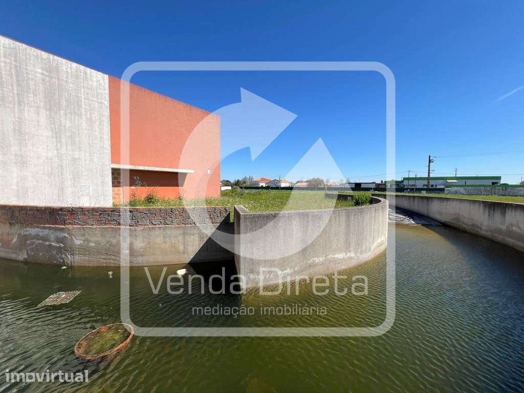 Terreno de 25.300 m², com edifício destinado a serviços no Porto Alto. - Grande imagem: 4/19