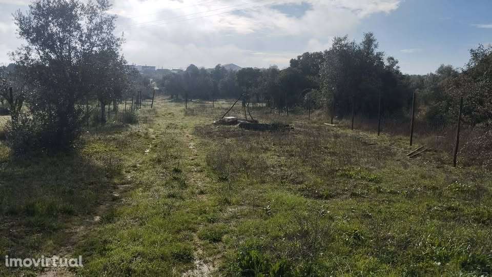 Terreno Urbano em Paialvo, Tomar - Grande imagem: 4/9