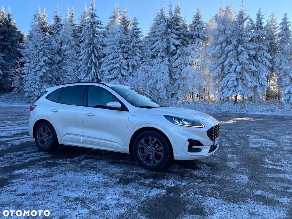 Ford Kuga 2.0 EcoBlue AWD ST-Line - 12
