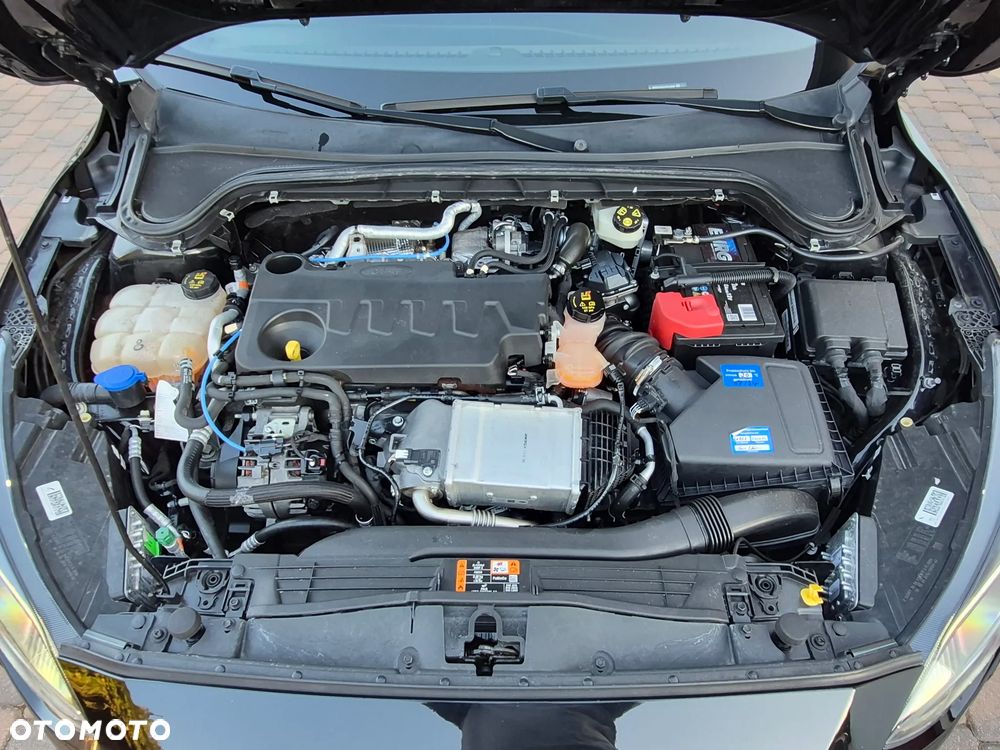 Ford Focus - 26