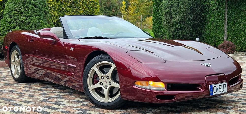 Chevrolet Corvette - 38