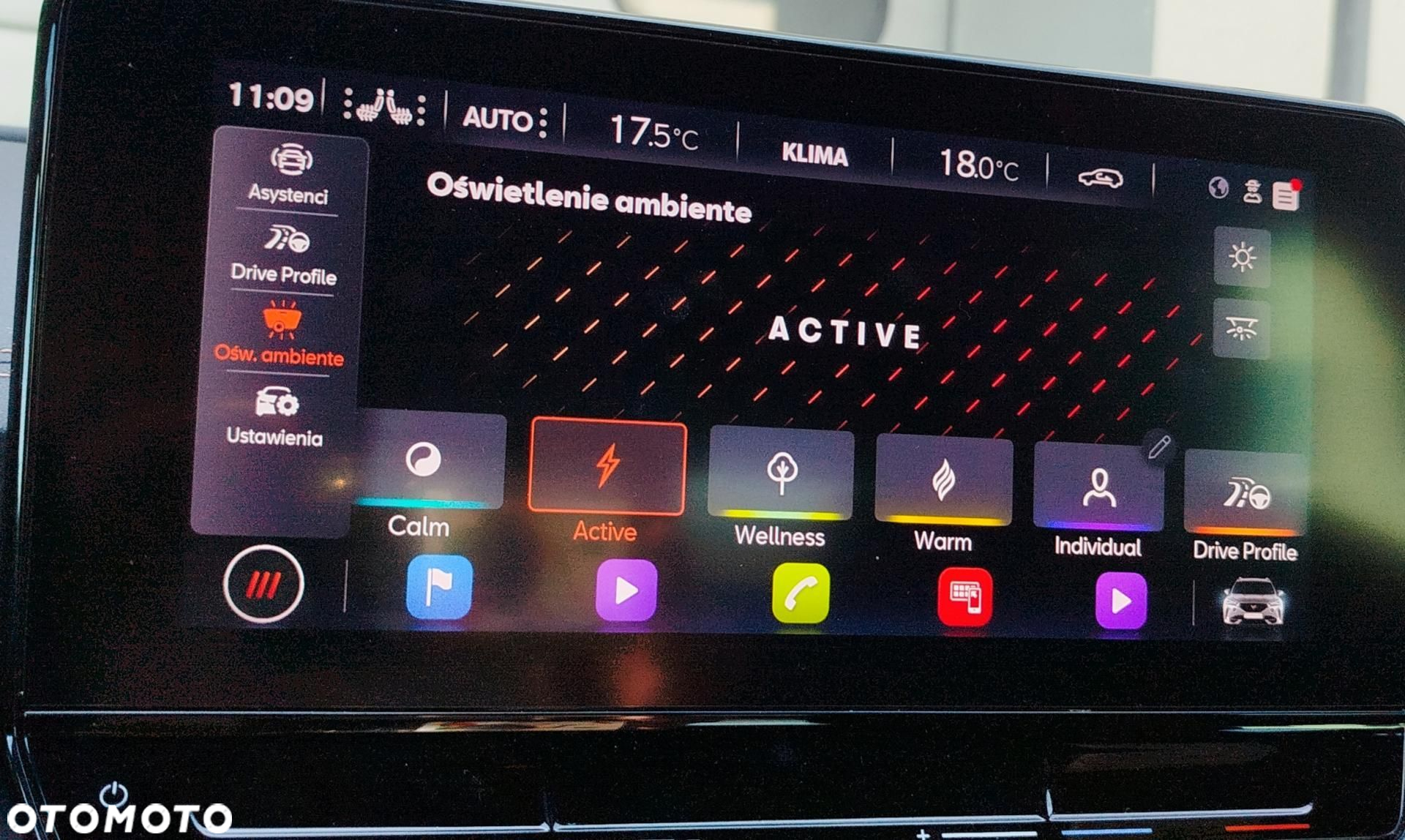 Cupra Formentor - 17
