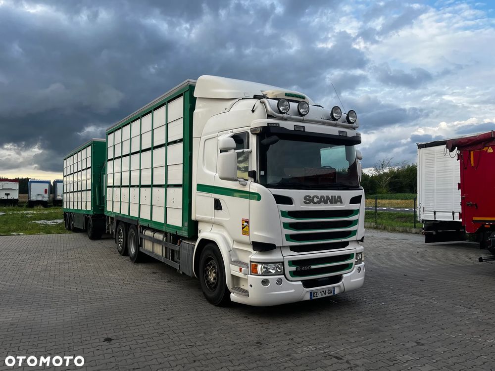 Scania R490 ZESTAW DO PRZEWOZU ŻYWCA/GUITTON/3 POKŁADY/DACH PODNOSZONY/OŚ PODNOSZONA SKRĘTNA/PRZEJAZDOWY - 1
