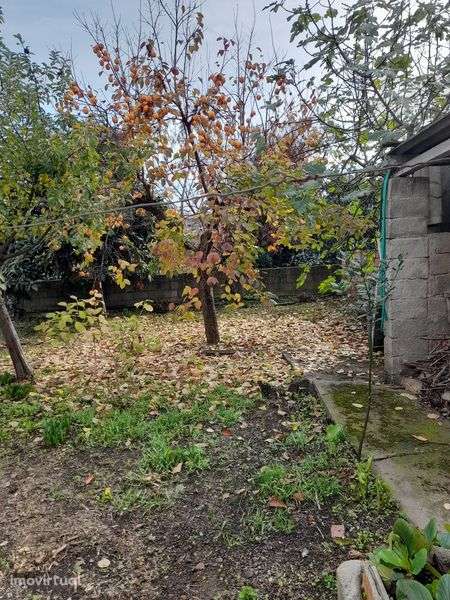 Casa em Freixo de Espada à Cinta - Grande imagem: 3/6