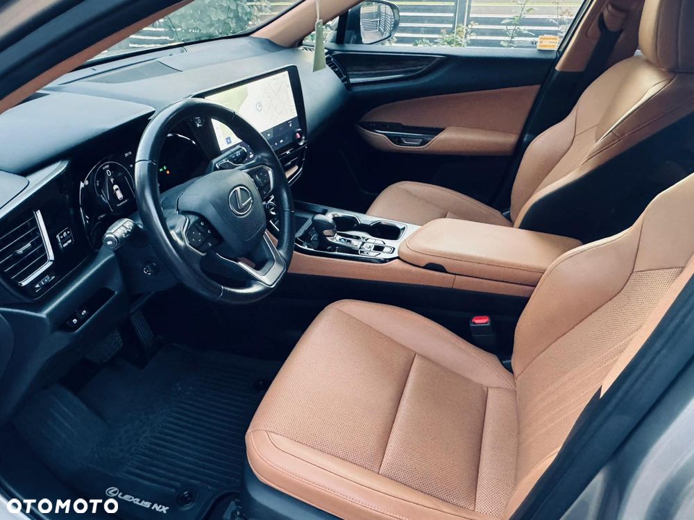Lexus NX - 19