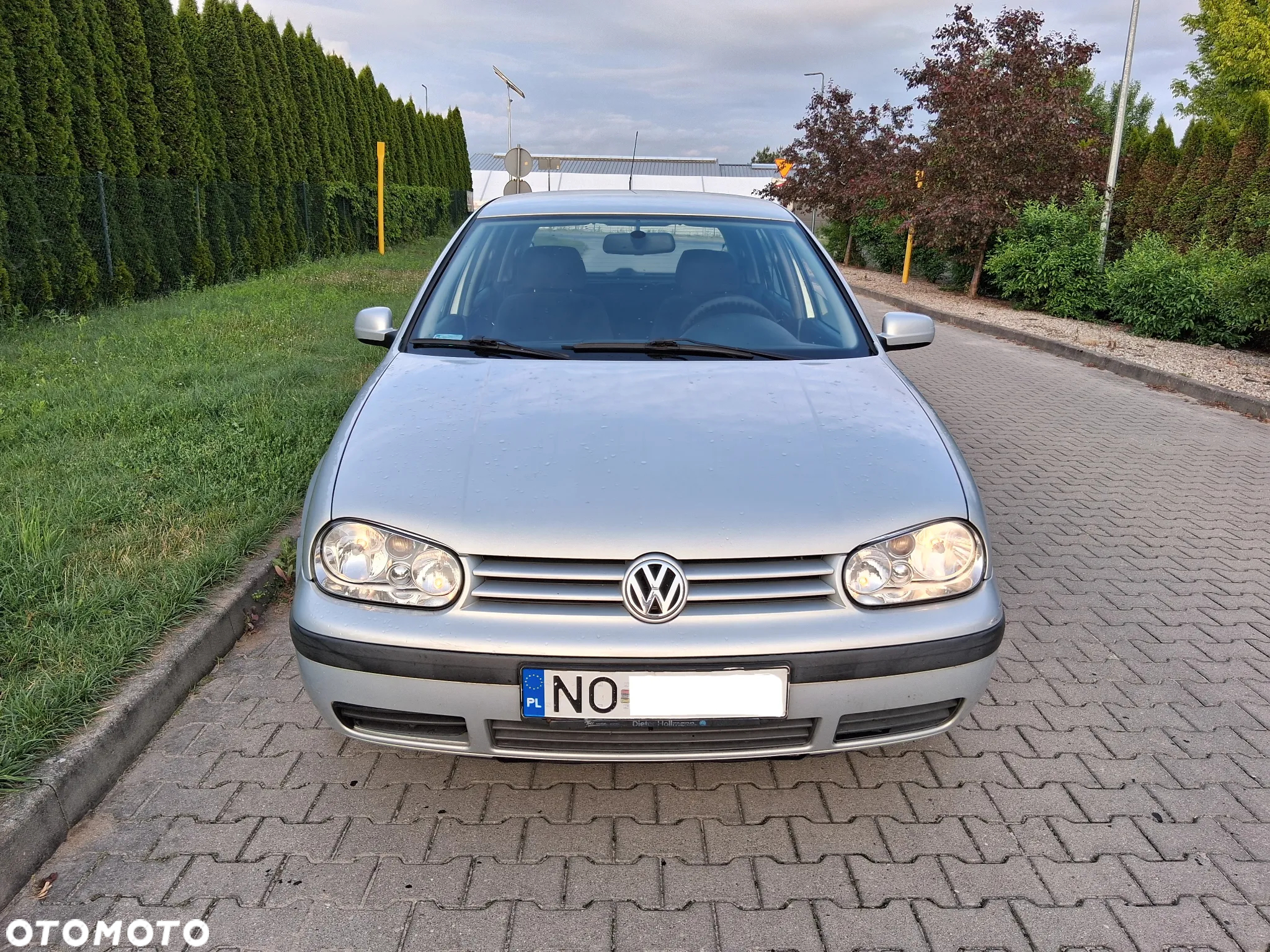 Volkswagen Golf IV 1.4 16V Basis - 12