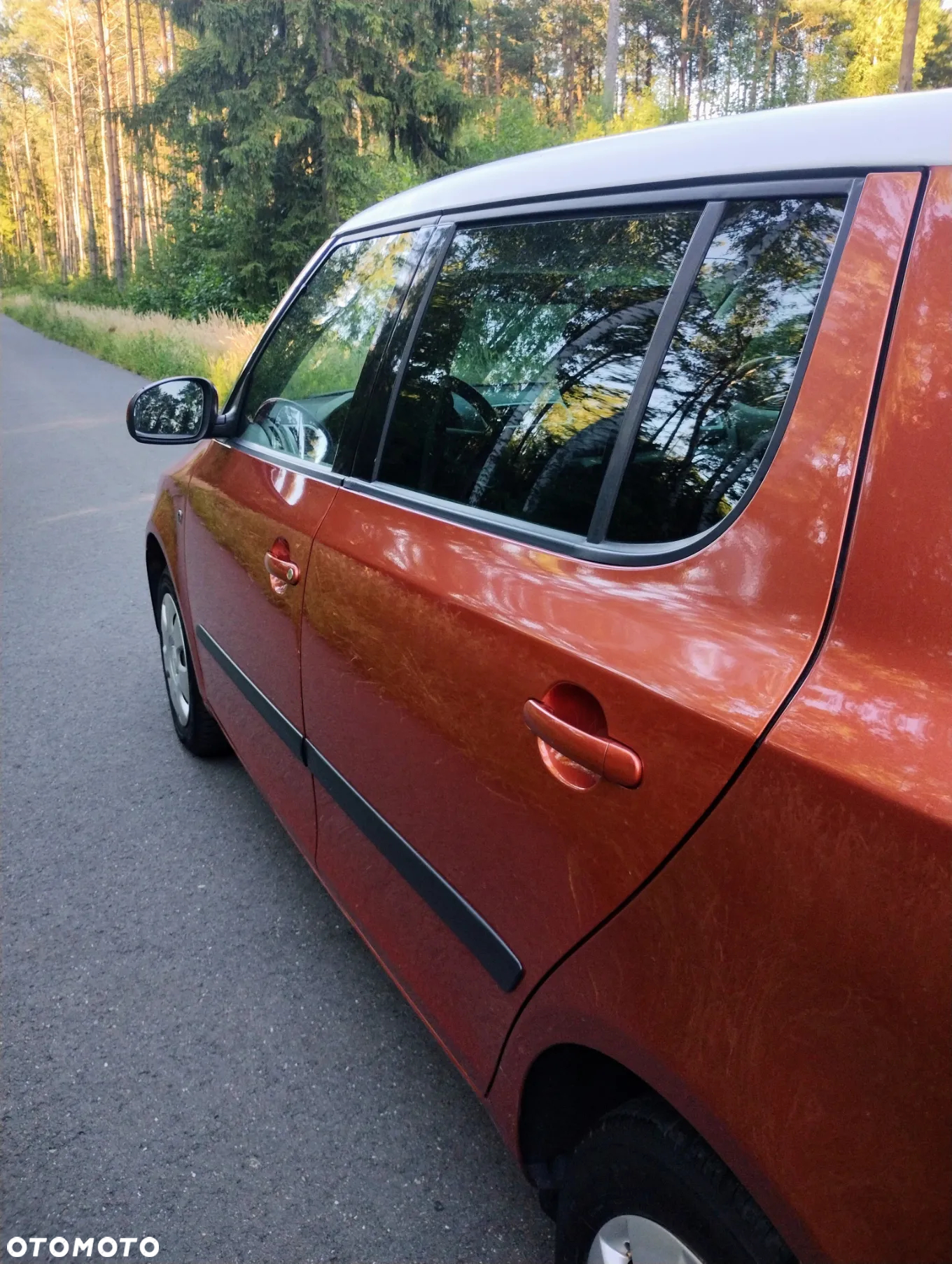 Skoda Fabia - 19