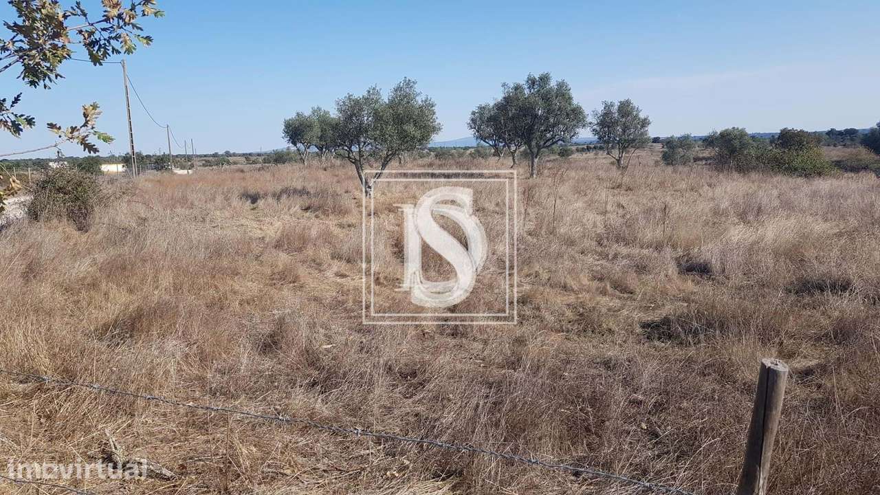 Terreno UDF de Arez e Amieira do Tejo - Grande imagem: 4/9