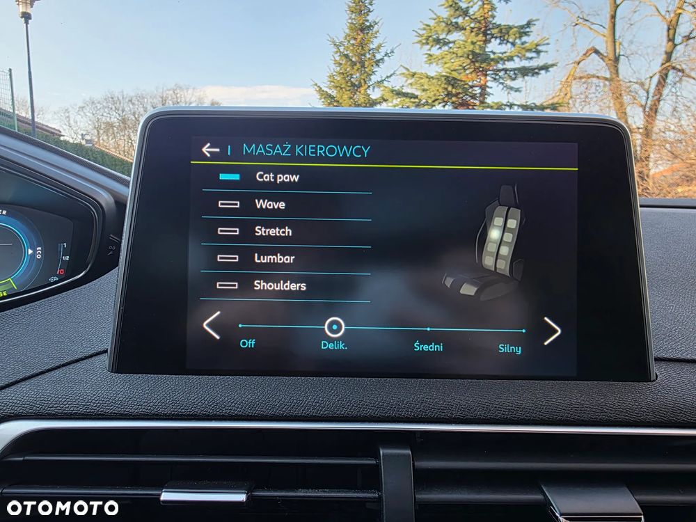 Peugeot 3008 1.6 PureTech Hybrid4 PHEV GT S&S EAT8 - 39