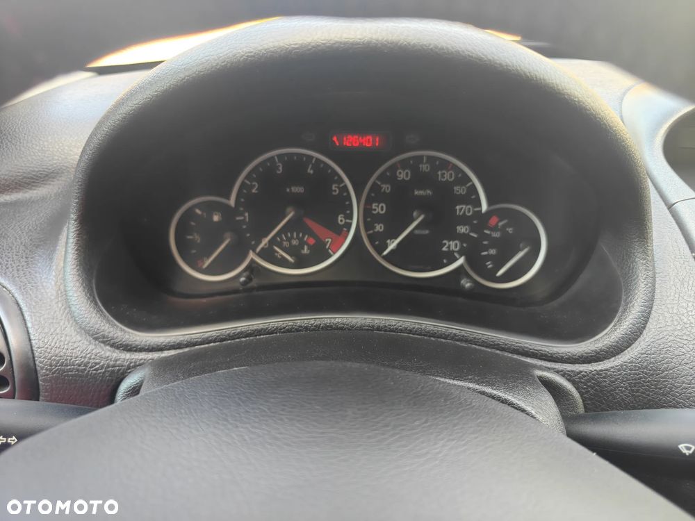 Peugeot 206 75 Grand Filou - 13