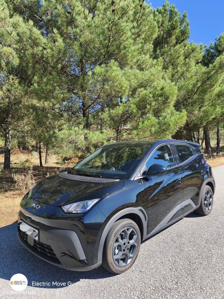 BYD Dolphin Surf