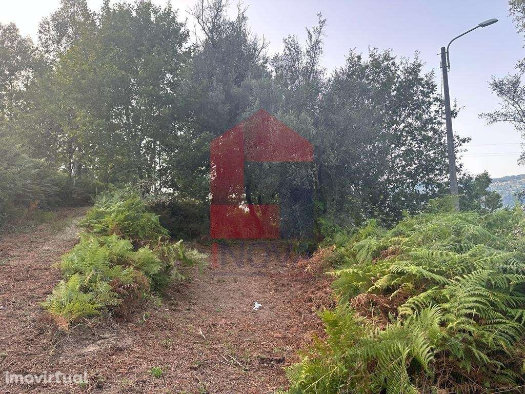 Quintinha, Goães - Grande imagem: 2/21