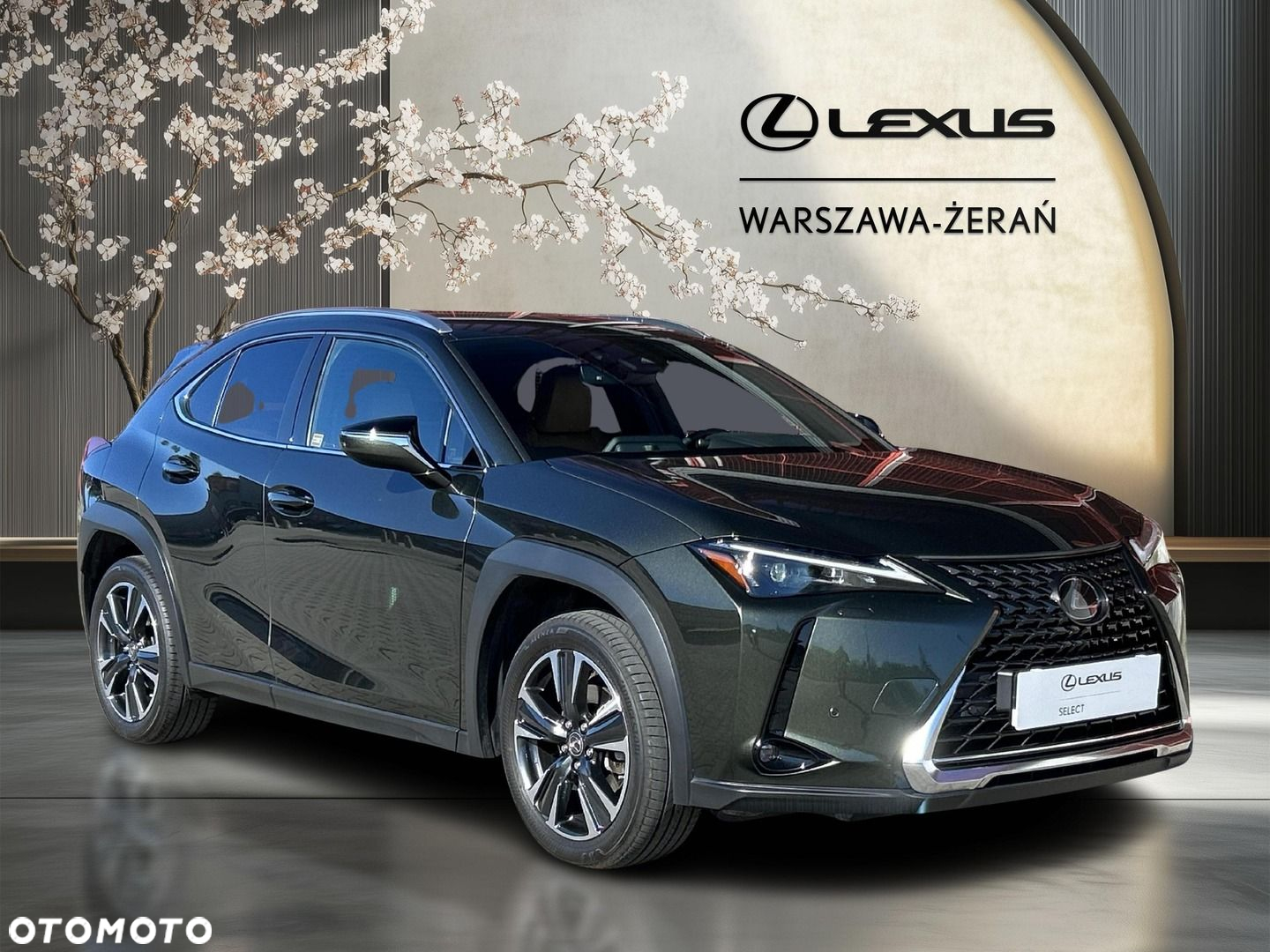 Lexus UX 250h GPF Business 2WD - 9
