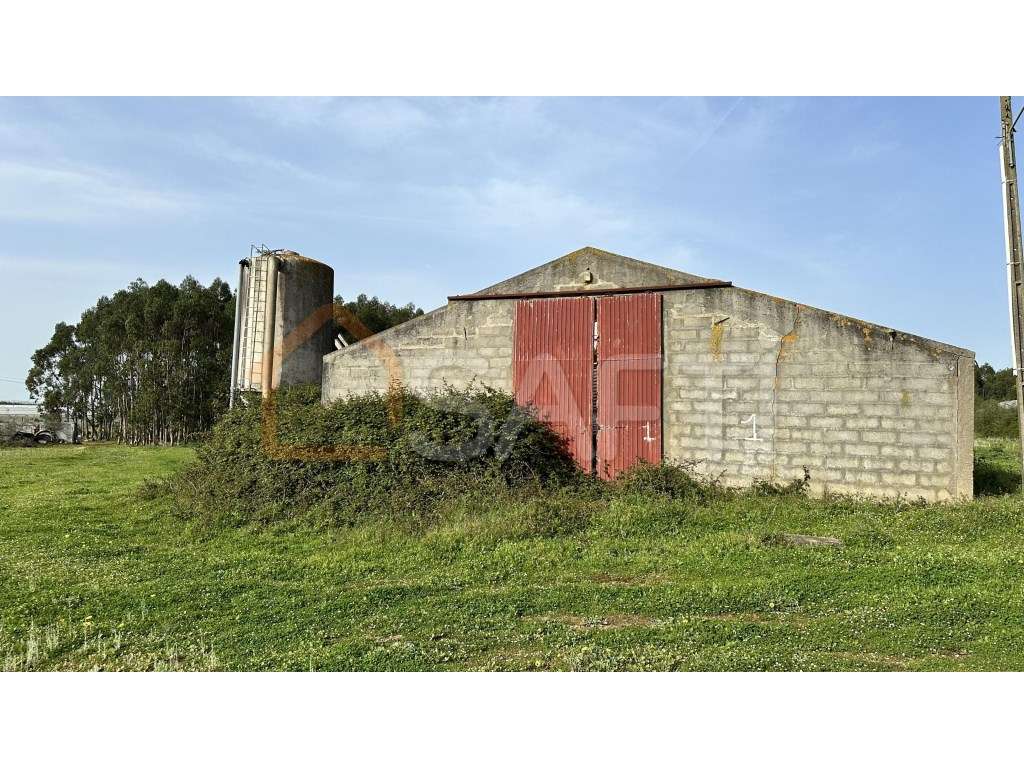 Terreno rustico industrial - Grande imagem: 2/38