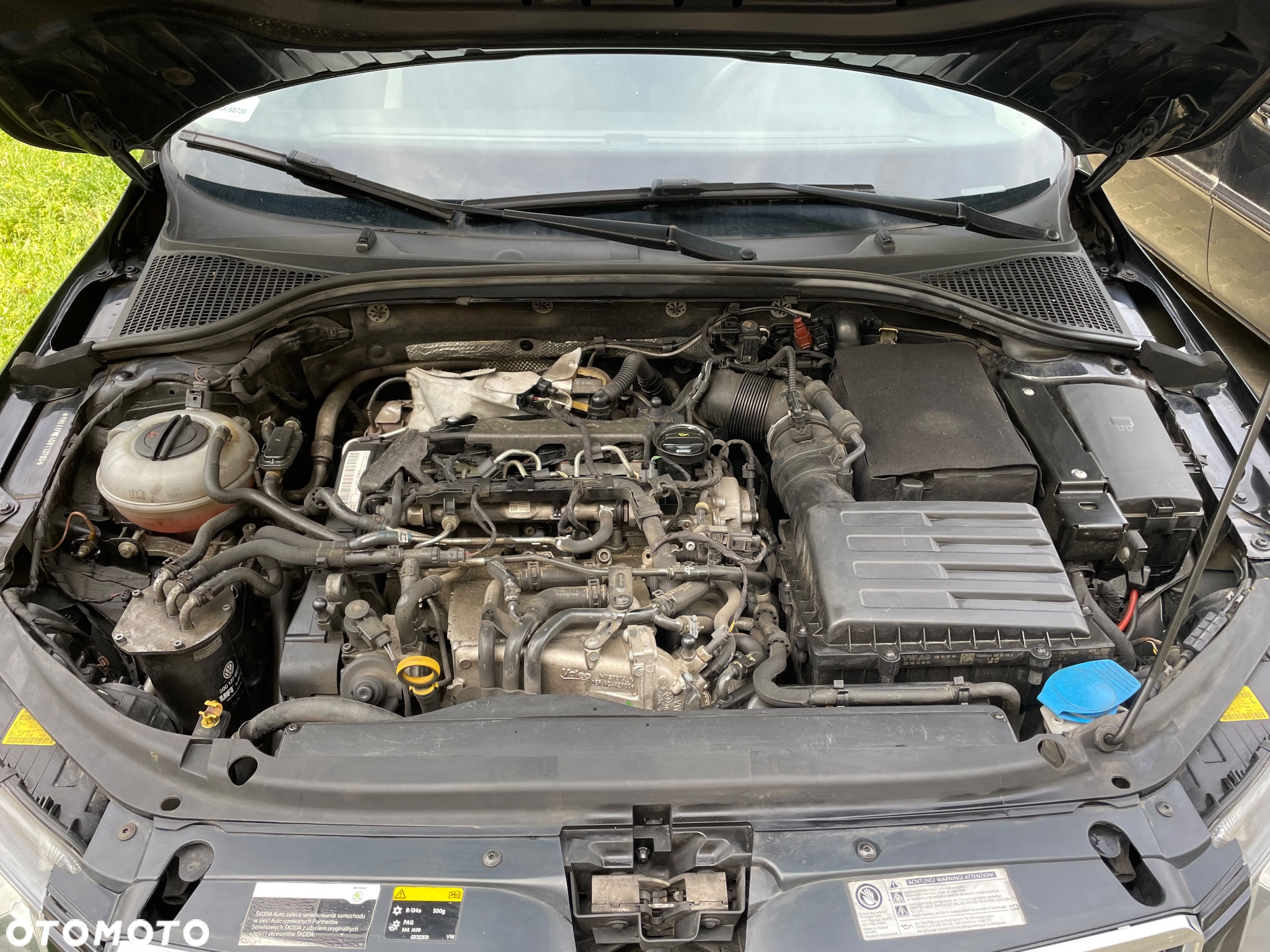 Skoda Octavia - 23