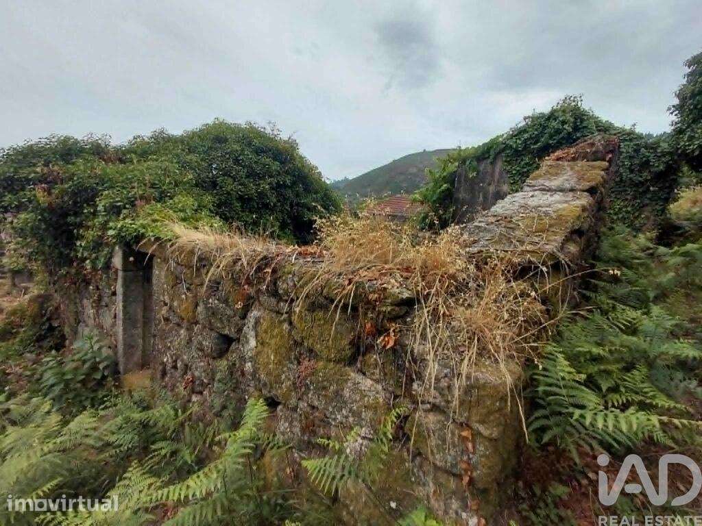 Terreno Agrícola em Chaviães e Paços - Grande imagem: 5/10