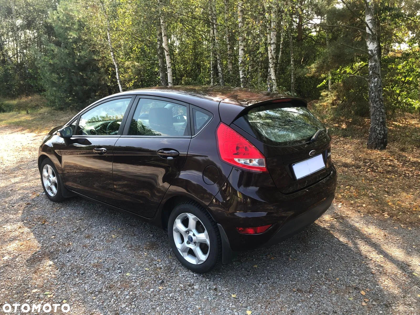 Ford Fiesta 1.25 Gold X EU5 - 7